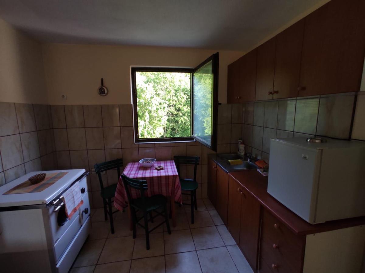 Apartmani Jana Бело Поле Екстериор снимка